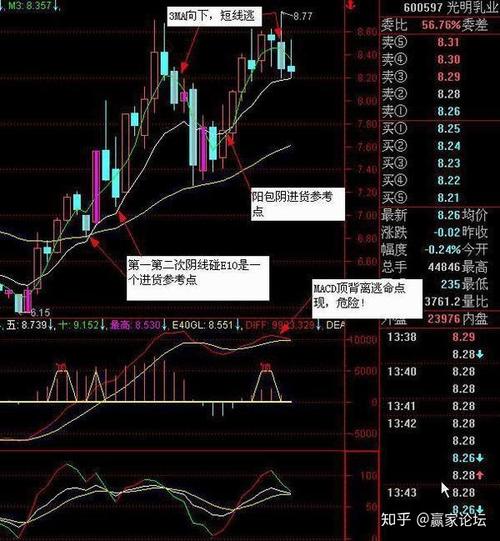 股票交易学习指南：从入门到精通的全方位教程