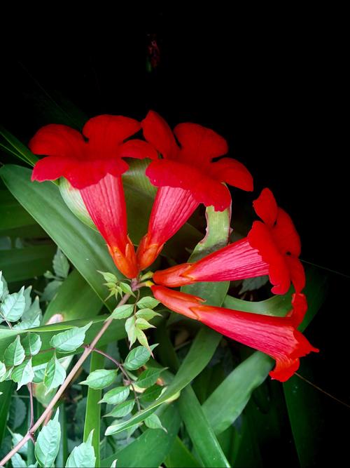 济南市百花小区二手房价格 济南百花小区房价