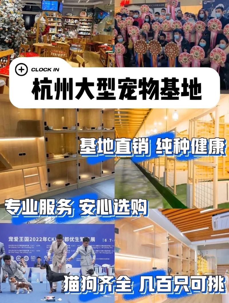 杭州哪里的房子值得买 杭州市各区房价一览表