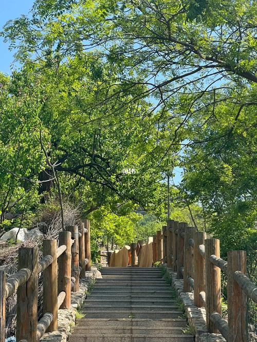 青岛山里